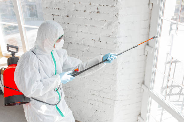 Best Mold Prevention Services  in Delmar, MD